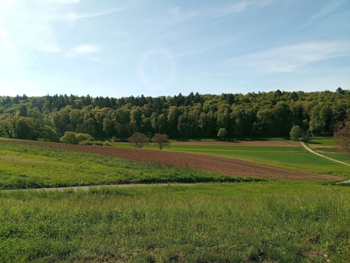 Vom Schloss Königsbach rund um den Aalkistensee