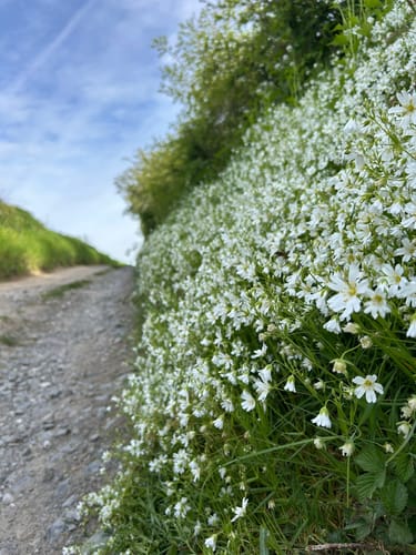 Neandertal - Große Runde