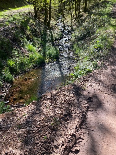 Rundweg Wildewiese