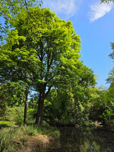 Aasee Rundwanderweg