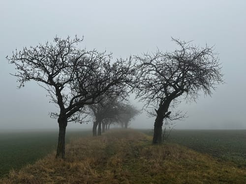 Rabenauer Grund - Somsdorf - Tharandt