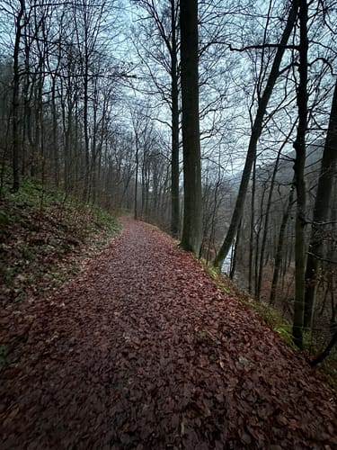 Rabenauer Grund - Somsdorf - Tharandt