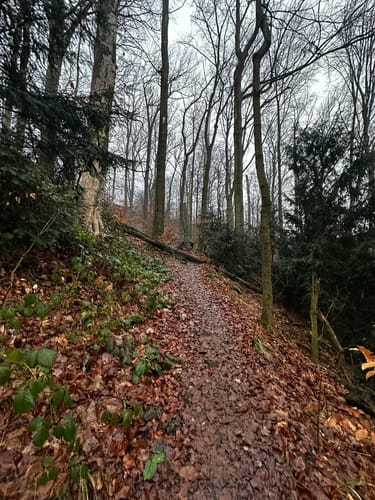Rabenauer Grund - Somsdorf - Tharandt