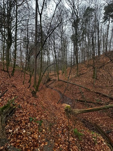 Rabenauer Grund - Somsdorf - Tharandt