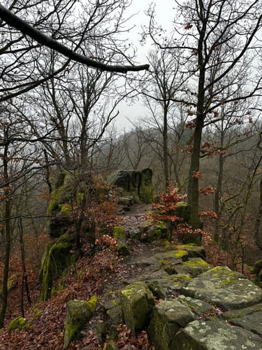 Rabenauer Grund - Somsdorf - Tharandt