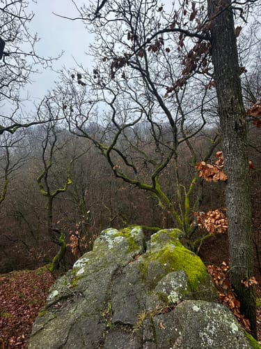 Rabenauer Grund - Somsdorf - Tharandt