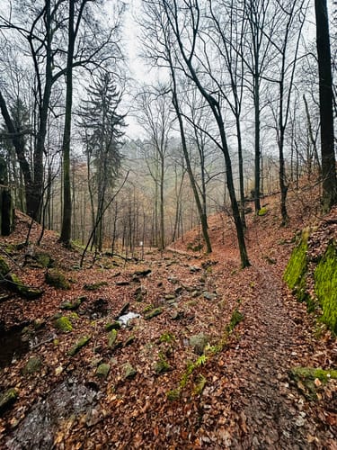 Rabenauer Grund - Somsdorf - Tharandt