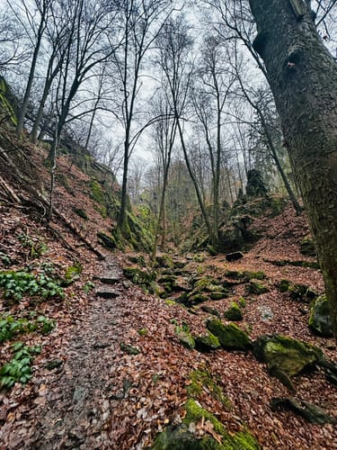 Rabenauer Grund - Somsdorf - Tharandt
