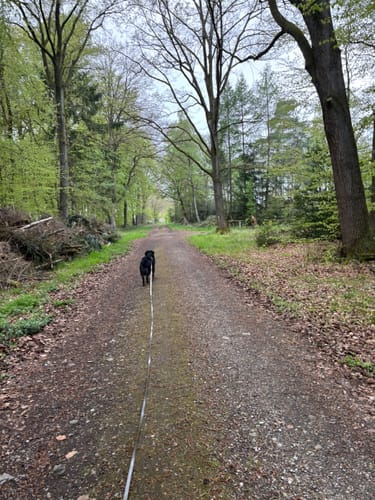 Malberg Rundweg A6