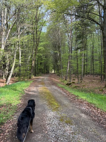 Malberg Rundweg A6