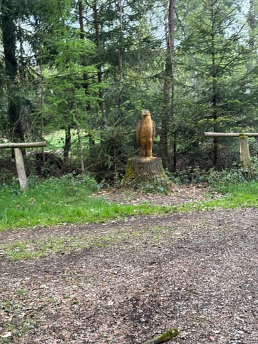 Malberg Rundweg A6