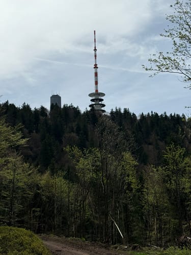 Inselsberg Rundweg