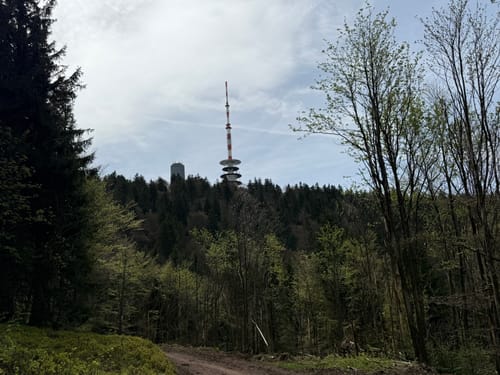 Inselsberg Rundweg