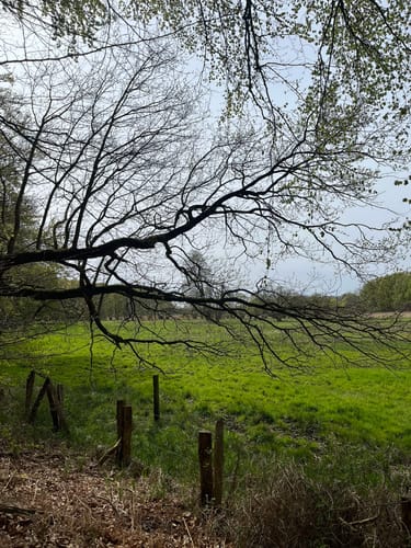 Runde im Stellmoor-Ahrensburger Tunneltal