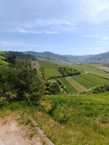 Oberachern zum Achtelblick