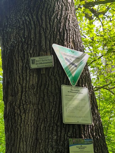 Rund um den Mindelsee