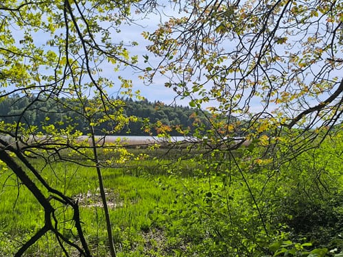 Rund um den Mindelsee