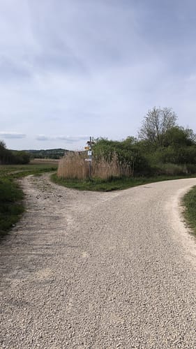 Rund um den Mindelsee