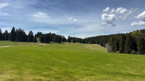 Schluchtensteig Etappe 5: St. Blasien - Todtmoos