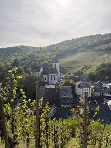 Grevenburg und Kriegerdenkmal Trarbach