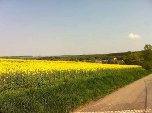 Frankenstein Rundweg über den Steinberg
