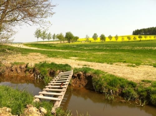 Frankenstein Rundweg über den Steinberg