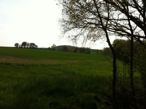 Frankenstein Rundweg über den Steinberg