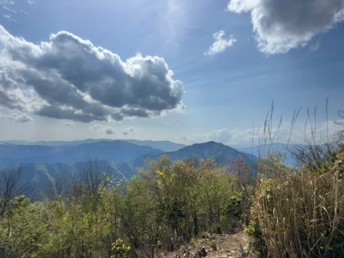Mount Mitake - hikes and trails to get you there | AllTrails