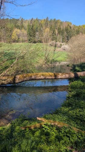 Auf dem Kreuzstein