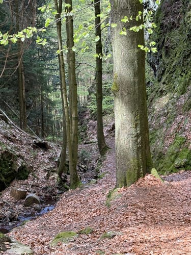 Gipfel- und Aussichtstour Tour 1 - Bad Tabarz