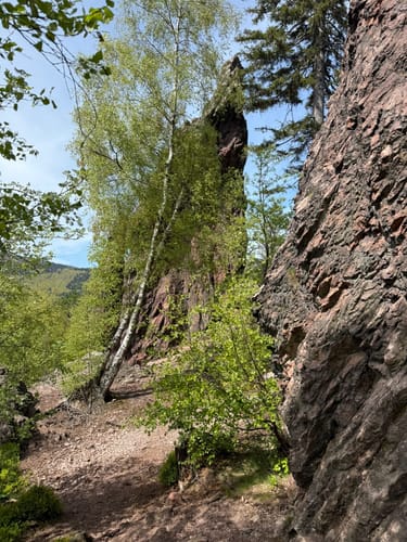 Gipfel- und Aussichtstour Tour 1 - Bad Tabarz