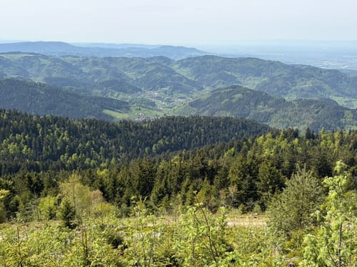 Mummelsee - Hornisgrinde