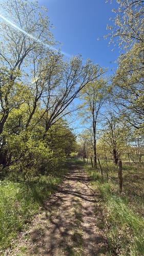Rund  um den Seddiner See