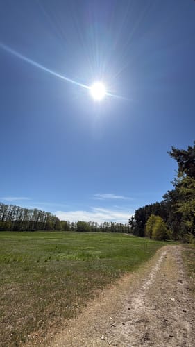 Rund  um den Seddiner See