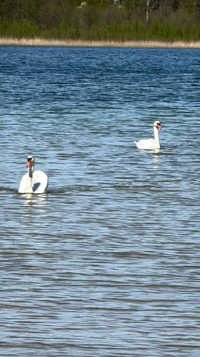 Rund  um den Seddiner See