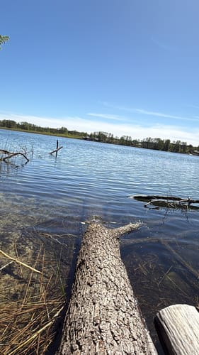 Rund  um den Seddiner See