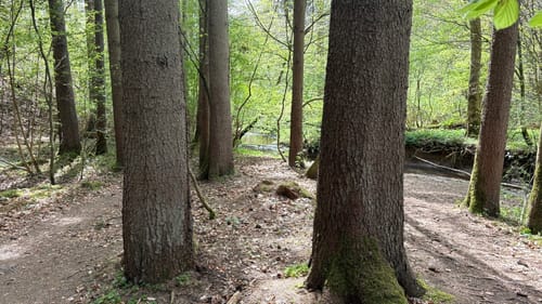 Land.Tour Wilde Wege