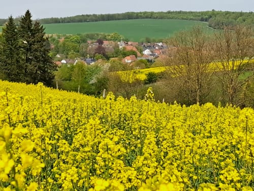 A4 Rundtour Steinheim
