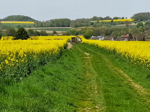 A4 Rundtour Steinheim