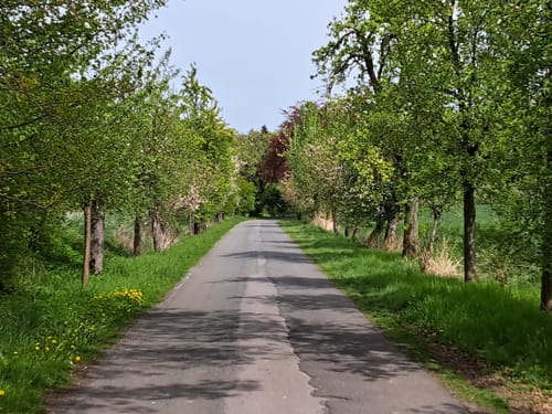 A4 Rundtour Steinheim
