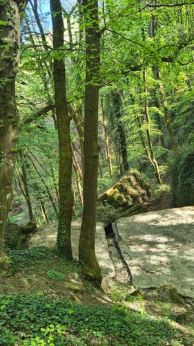Von Mötsch nach Hüttingen an der Kyll
