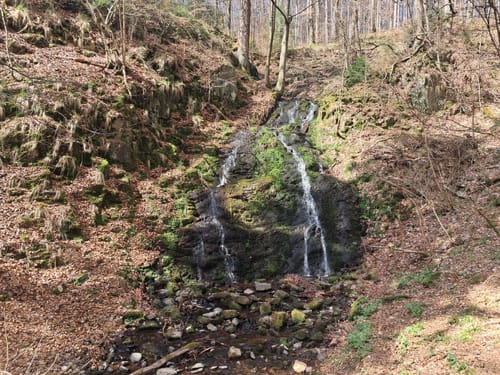 Spittergrund - Ebertswiese - Bergsee Rundweg