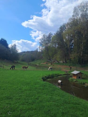 Spittergrund - Ebertswiese - Bergsee Rundweg