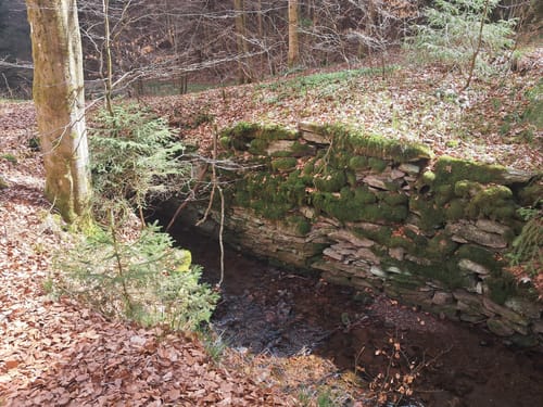 Spittergrund - Ebertswiese - Bergsee Rundweg
