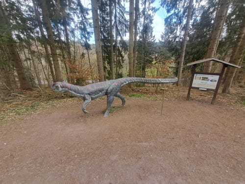 Spittergrund - Ebertswiese - Bergsee Rundweg