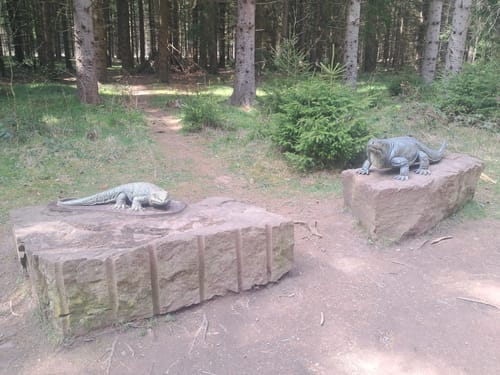 Spittergrund - Ebertswiese - Bergsee Rundweg