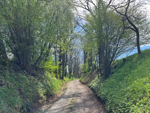 Thurnau nach Langenstadt