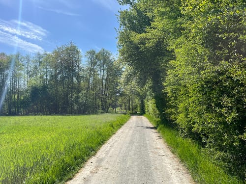 Thurnau nach Langenstadt