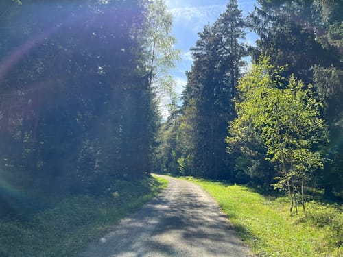 Thurnau nach Langenstadt