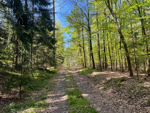 Thurnau nach Langenstadt